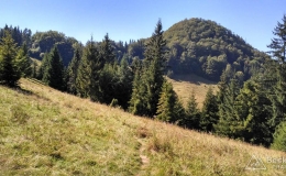 IMG_20160827_144259_HDR