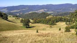 IMG_20160827_144436_HDR