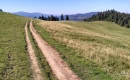 IMG_20160827_151634_HDR