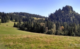 IMG_20160827_152025_HDR