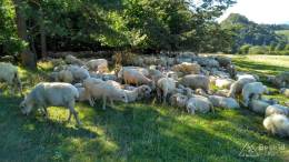 IMG_20160827_152332_HDR