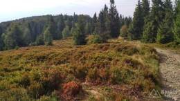 IMG_20160903_163535_HDR