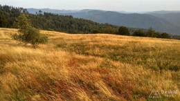 IMG_20160903_183327_HDR