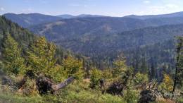 IMG_20160904_112948_HDR