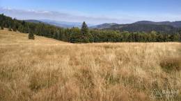 IMG_20160904_122935_HDR