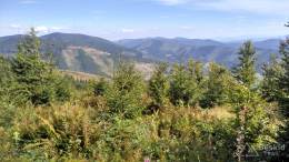 IMG_20160904_130014_HDR