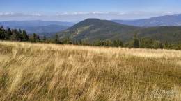 IMG_20160904_142257_HDR