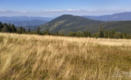 IMG_20160904_142257_HDR