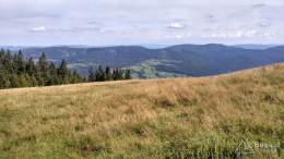 IMG_20160904_150146_HDR