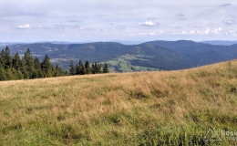 IMG_20160904_150146_HDR