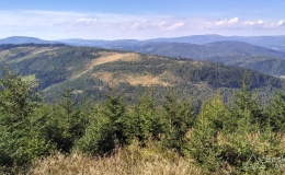 IMG_20160904_151034_HDR