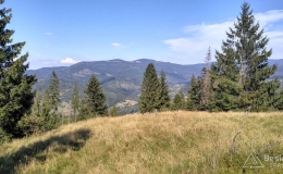 IMG_20160904_151058_HDR