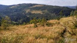 IMG_20160904_151454_HDR