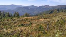 IMG_20160908_105318_HDR