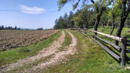 IMG_20160908_134333_HDR