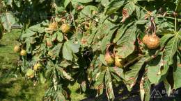 IMG_20160908_134356_HDR