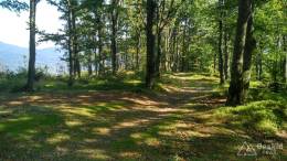 IMG_20160908_145508_HDR