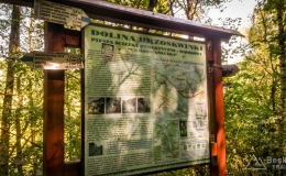 IMG_20160910_131947_HDR kopia
