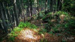 IMG_20160911_135656_HDR kopia