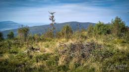 IMG_20160911_154200_HDR kopia