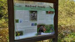 IMG_20161001_103634_HDR