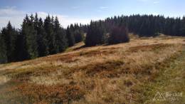 IMG_20161001_114648_HDR