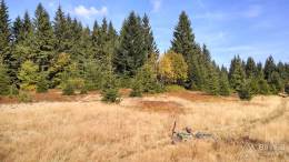 IMG_20161001_131009_HDR