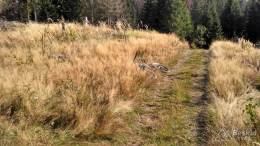 IMG_20161001_144003_HDR