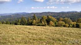 IMG_20161001_144723_HDR