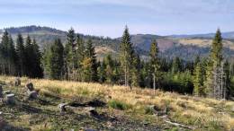 IMG_20161001_145519_HDR