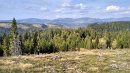 IMG_20161001_145523_HDR