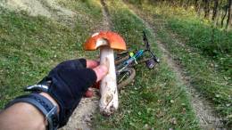 IMG_20161001_171925_HDR