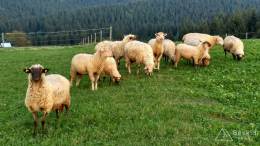 IMG_20161001_180813_HDR