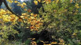 IMG_20161002_094731_HDR