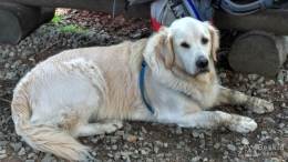 IMG_20161002_105732_HDR