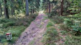 IMG_20161002_113227_HDR