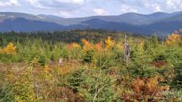 IMG_20161002_120657_HDR