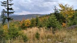 IMG_20161002_130921_HDR