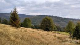 IMG_20161002_153607_HDR