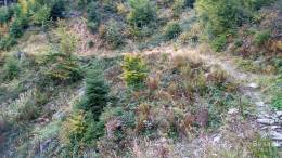 IMG_20161002_160316_HDR