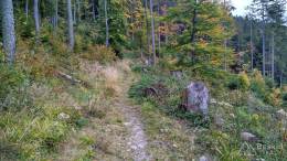 IMG_20161002_162456_HDR