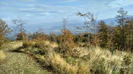 IMG_20161015_142358_HDR