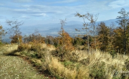 IMG_20161015_142358_HDR