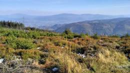 IMG_20161015_152538_HDR