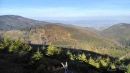 IMG_20161015_160521_HDR