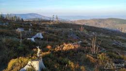 IMG_20161015_170355_HDR