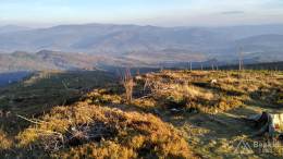 IMG_20161015_170404_HDR