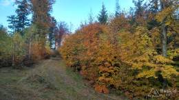 IMG_20161022_160535_HDR