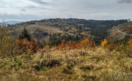 IMG_20161024_124539_HDR