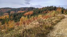 IMG_20161024_124716_HDR